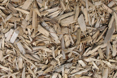 biomass boilers Higher Downs